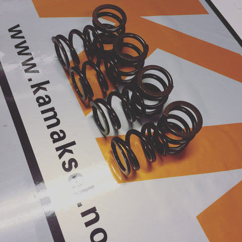 Nsu Racing valvesprings